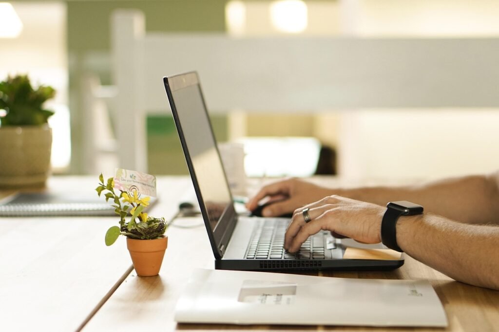 Laptop and plant on a workspace
