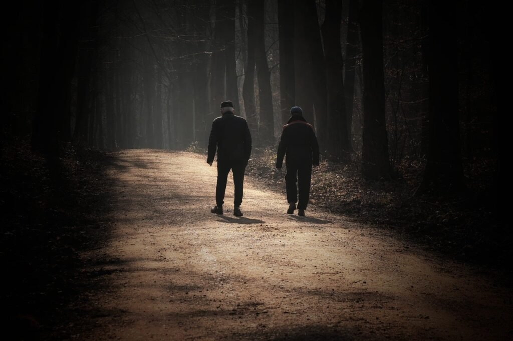 Walking along a forest path in morning sun